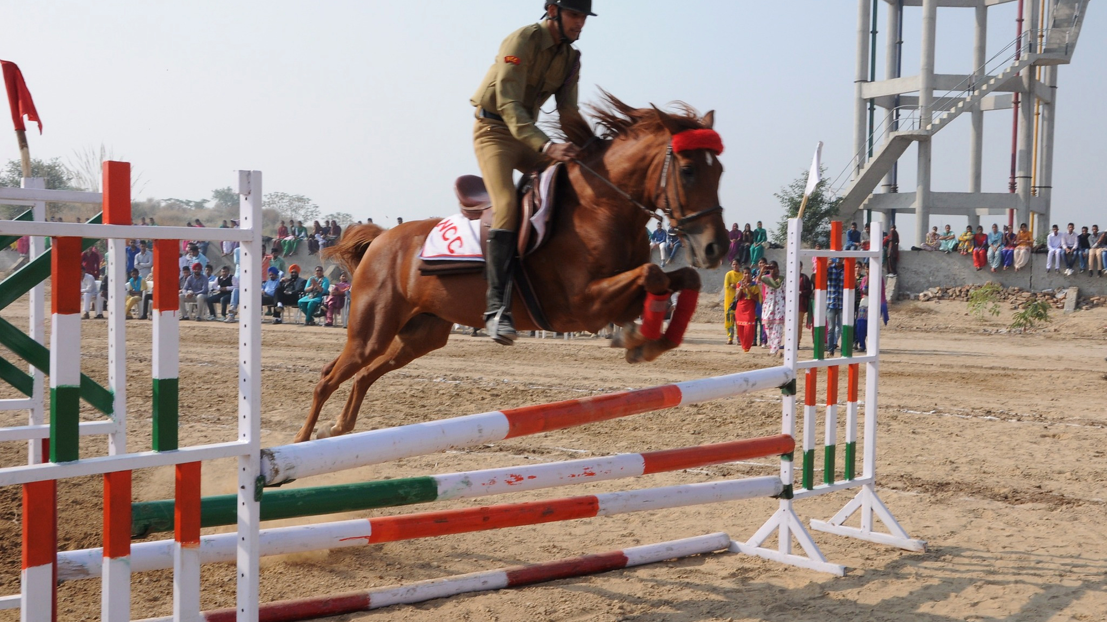 Horse Show (NCC)