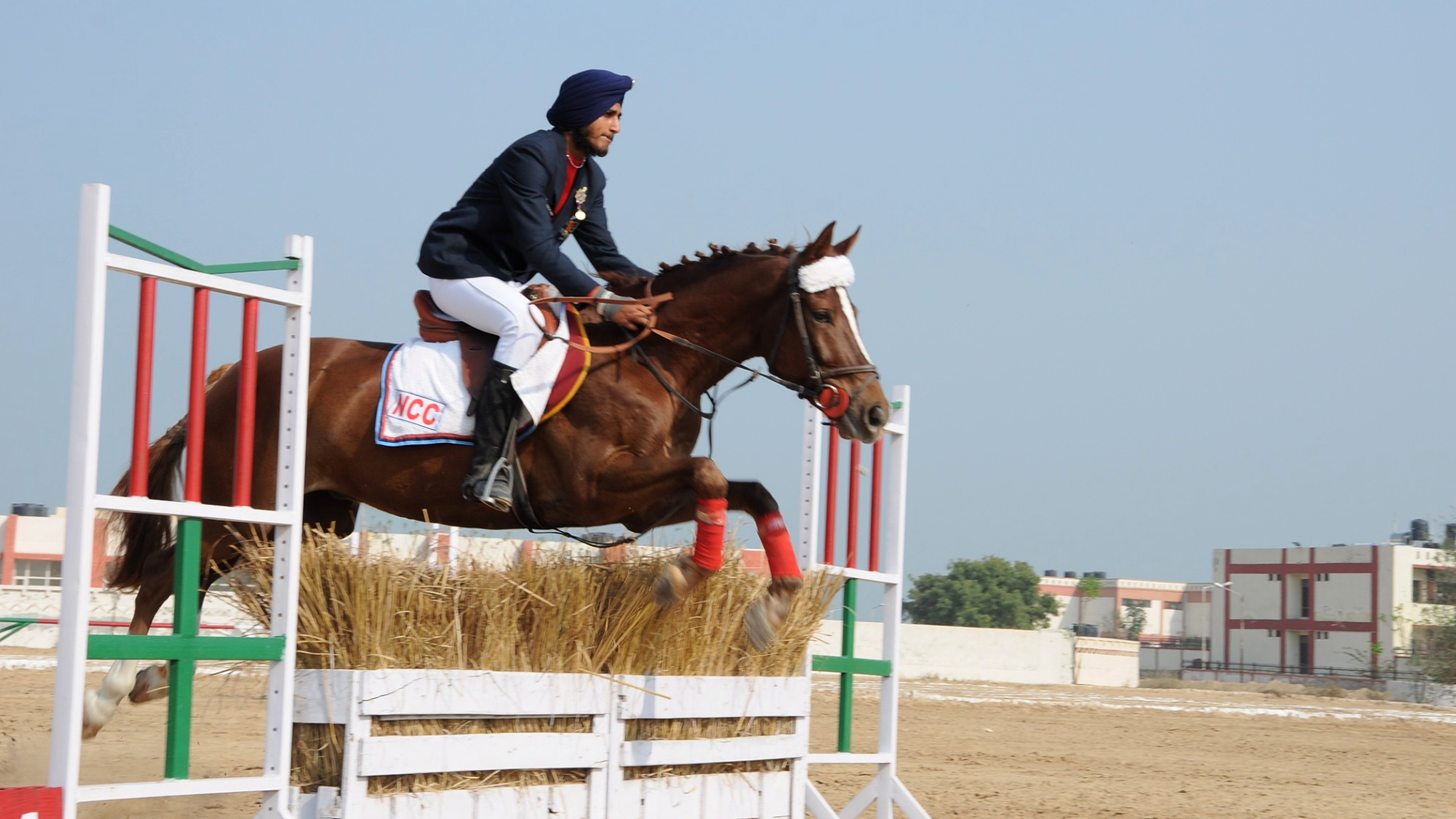 Horse Show (NCC)